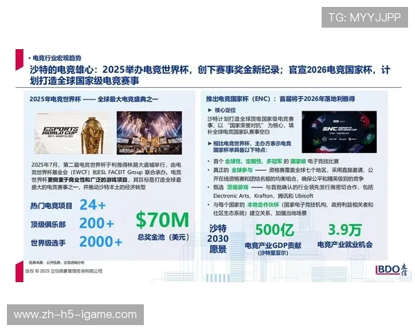 全球电竞产业崛起推动数字娱乐生态全面升级与青年文化融合发展