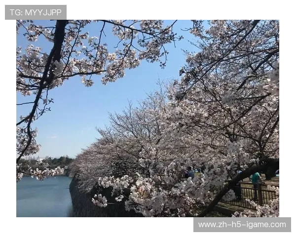 大阪樱花与大分山神激战在即谁能在这场对决中笑到最后